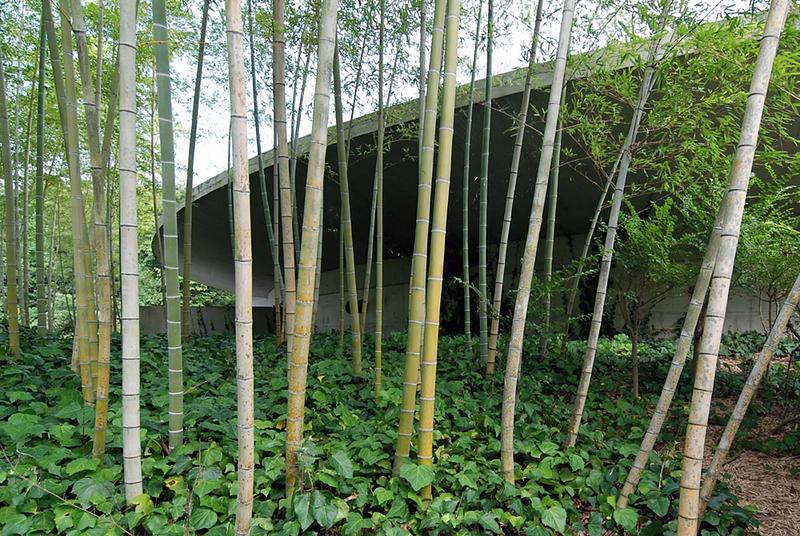 Honpukuji Temple