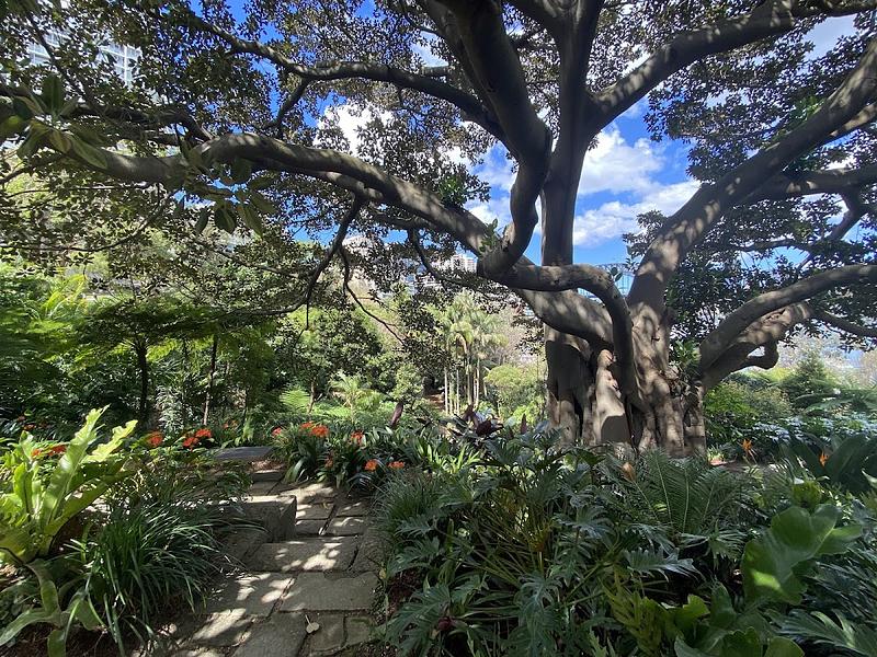 Wendy Whiteley's Secret Garden