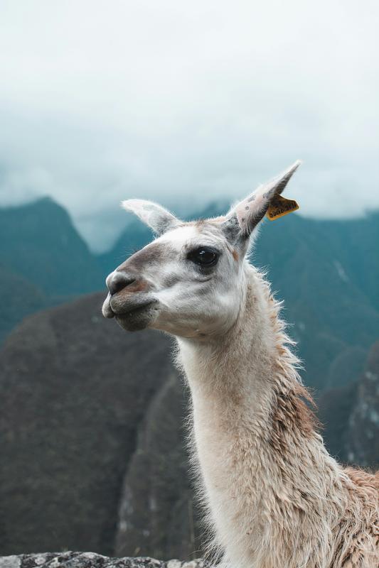 Historic Sanctuary of Machu Picchu