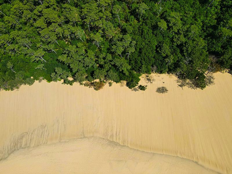Dune of Pilat