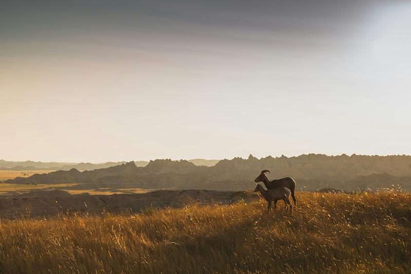 Badlands National Park