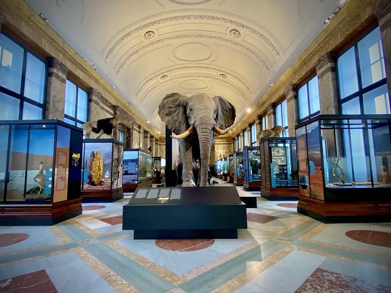 Royal Museum for Central Africa