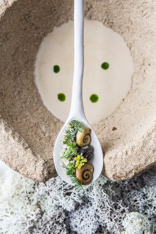 APONIENTE